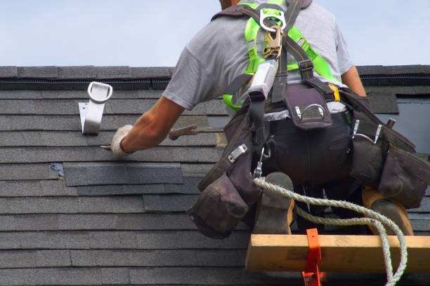 Best Residential Roofing Contractor  in Braidwood, IL